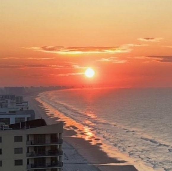 Meet your Posher, Jeffrey - Picture 4 of 6